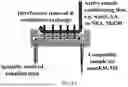 Fig. 06 - Analysis system and methods of use thereof