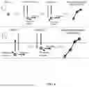Fig. 05 - TRANSVERSE ALTERNATING CURRENT ELECTROPHORESIS SYSTEMS AND METHODS
