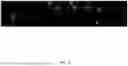 Fig. 22 - TRANSVERSE ALTERNATING CURRENT ELECTROPHORESIS SYSTEMS AND METHODS