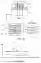 Fig. 04 - MULTI PUMP-PROBE ENCODING-DECODING FOR OPTO-ACOUSTIC METROLOGY