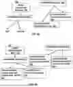 Fig. 07 - TRANSFORMING TEXT FORMAT TO TREE STRUCTURE FORMAT