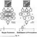 Fig. 02 - SLIDE-LEVEL UNCERTAINTY QUANTIFICATION FOR DEEP LEARNING PREDICTIONS IN DIGITAL HISTOPATHOLOGY