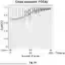 Fig. 07 - SLIDE-LEVEL UNCERTAINTY QUANTIFICATION FOR DEEP LEARNING PREDICTIONS IN DIGITAL HISTOPATHOLOGY
