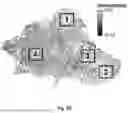 Fig. 22 - SLIDE-LEVEL UNCERTAINTY QUANTIFICATION FOR DEEP LEARNING PREDICTIONS IN DIGITAL HISTOPATHOLOGY