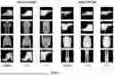 Fig. 06 - AUTOENCODER WITH GENERATIVE ADVERSARIAL NETWORKS FOR TRANSFER LEARNING BETWEEN DOMAINS