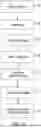 Fig. 04 - DISPLAY OF PROMOTION TO PACKAGE RECIPIENTS LINKED TO WEBPAGES
