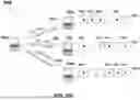 Fig. 63 - System and Method for Improving Internet Communication by Using Intermediate Nodes