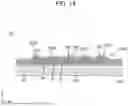 Fig. 15 - TRANSISTOR, CIRCUIT SUBSTRATE, AND DISPLAY DEVICE