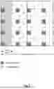 Fig. 03 - COEXISTENCE OF REFERENCE SIGNALS IN WIRELESS COMMNICATION NETWORKS