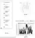 Fig. 02 - Bilateral Acoustic Sensing for Predicting FEV1/FVC
