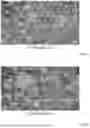 Fig. 09 - SUSTAINED RELEASE STABLE EMULSION PHARMACEUTICAL FORMULATIONS