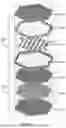 Fig. 06 - MODULAR FLOATING AND BOTTOM SITTING NEARSHORE INFRASTRUCTURE