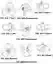 Fig. 56 - PROPELLER