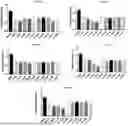 Fig. 01 - PEPTIDE COMPOUND TARGETING ELASTIN-DERIVED PEPTIDES AND USE THEREOF