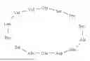 Fig. 04 - PEPTIDE COMPOUND TARGETING ELASTIN-DERIVED PEPTIDES AND USE THEREOF