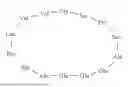 Fig. 07 - PEPTIDE COMPOUND TARGETING ELASTIN-DERIVED PEPTIDES AND USE THEREOF