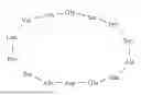 Fig. 10 - PEPTIDE COMPOUND TARGETING ELASTIN-DERIVED PEPTIDES AND USE THEREOF