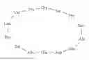Fig. 16 - PEPTIDE COMPOUND TARGETING ELASTIN-DERIVED PEPTIDES AND USE THEREOF