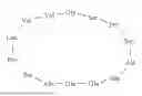 Fig. 17 - PEPTIDE COMPOUND TARGETING ELASTIN-DERIVED PEPTIDES AND USE THEREOF