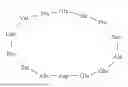 Fig. 20 - PEPTIDE COMPOUND TARGETING ELASTIN-DERIVED PEPTIDES AND USE THEREOF