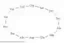 Fig. 21 - PEPTIDE COMPOUND TARGETING ELASTIN-DERIVED PEPTIDES AND USE THEREOF