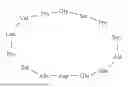 Fig. 31 - PEPTIDE COMPOUND TARGETING ELASTIN-DERIVED PEPTIDES AND USE THEREOF