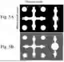 Fig. 09 - PATTERNED DRIED BLOOD SPOT CARDS AND RELATED ARTICLES AND METHODS