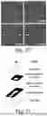 Fig. 19 - PATTERNED DRIED BLOOD SPOT CARDS AND RELATED ARTICLES AND METHODS