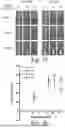 Fig. 22 - PATTERNED DRIED BLOOD SPOT CARDS AND RELATED ARTICLES AND METHODS
