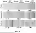 Fig. 05 - METHOD FOR LATERAL FLOW IMMUNOASSAY