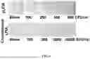 Fig. 06 - METHOD FOR LATERAL FLOW IMMUNOASSAY