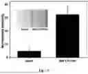 Fig. 08 - METHOD FOR LATERAL FLOW IMMUNOASSAY