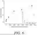 Fig. 07 - MICRODEVICE FOR CELL SEPARATION UTILIZING ACTIVATION PHENOTYPE