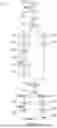Fig. 08 - DYNAMIC DATABASE PIPELINE SCHEDULER