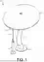 Fig. 02 - OUTDOOR MUSHROOM INSTRUMENTS