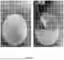 Fig. 02 - Erasable Nanocellulose Electronics