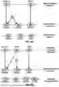 Fig. 06 - Multi-SIM Signaling in Multiple Network Communication