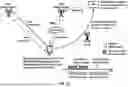 Fig. 22 - Multi-SIM Signaling in Multiple Network Communication