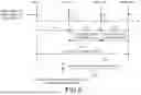 Fig. 06 - METHOD AND DEVICE FOR DISCONTINUOUS RECEPTION CONFIGURATIONS
