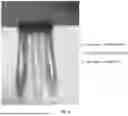 Fig. 09 - PEROXYFORMIC ACID COMPOSITIONS FOR MEMBRANE FILTRATION CLEANING IN ENERGY SERVICES