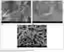 Fig. 06 - FORMATION OF STABLE SUBMICRON PEPTIDE OR PROTEIN PARTICLES BY THIN FILM FREEZING