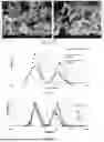Fig. 09 - FORMATION OF STABLE SUBMICRON PEPTIDE OR PROTEIN PARTICLES BY THIN FILM FREEZING