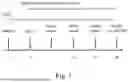 Fig. 02 - VIRAL PROPHYLAXIS TREATMENT METHODS AND PRE-EXPOSURE PROPHYLAXIS KITS