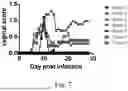 Fig. 08 - VIRAL PROPHYLAXIS TREATMENT METHODS AND PRE-EXPOSURE PROPHYLAXIS KITS
