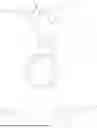 Fig. 366 - STEROIDS AND ANTIBODY-CONJUGATES THEREOF