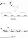 Fig. 14 - Method for Iterative Inkjet Printing on Curved Surfaces