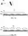 Fig. 16 - Method for Iterative Inkjet Printing on Curved Surfaces