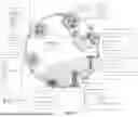 Fig. 19 - DEVICES, SYSTEMS AND METHODS FOR INHIBITING INVASION AND METASTASES OF CANCER