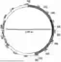 Fig. 01 - Self-immolative plasmid backbone