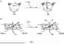 Fig. 02 - Multi-Metal Electrocatalytic System for Methane Oxidation